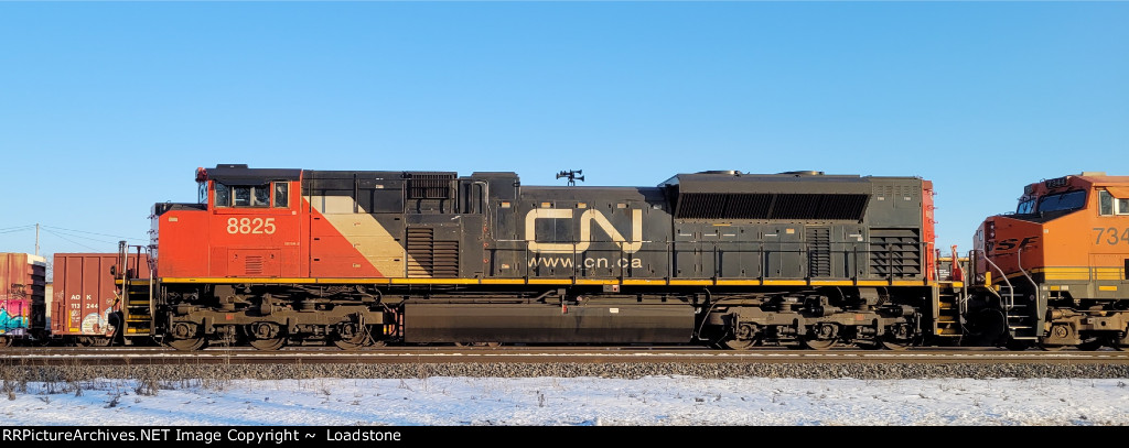 CN 8825